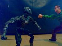 Black Costume Spiderman (Spider-Man - Movie) Custom Action Figure