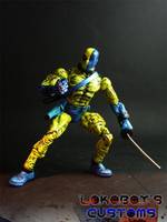 Deadpool DC Costume (Marvel Legends) Custom Action Figure