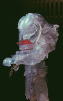 Cloaked Celtic Predator (Alien vs Predator) Custom Action Figure