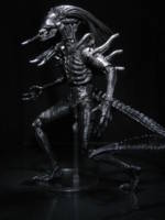 Ryushi Predalien (Alien vs Predator) Custom Action Figure