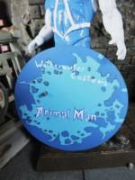 Animal Man (DC Direct) Custom Action Figure