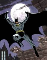 Batman (DC Universe) Custom Action Figure