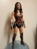 Wonder Woman (BVS) (DC Universe) Custom Action Figure