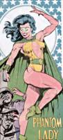 PHANTOM LADY I Sandra Knight Freedom Fighter & All-Star Squadron member (DC Universe) Custom Action Figure