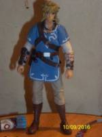 breath of the wild link (Legend of Zelda) Custom Action Figure