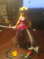 Princess Zelda (Hyrule Warriors Based) (Legend of Zelda) Custom Action Figure