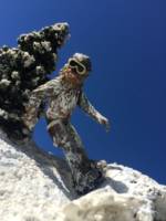 Snowboarding Chewbacca (Star Wars) Custom Diorama / Playset