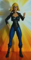 GOLDEN AGE Black Canary Dinah Drake JSA member (DC Universe) Custom Action Figure