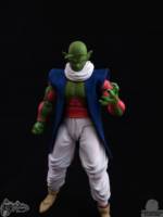 S.H. Figuarts Nail V01 (Dragonball Z) Custom Action Figure