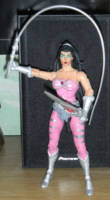 Scratchin' Catra (Masters of the Universe) Custom Action Figure [Scratchin' Catra]