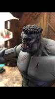 Gray Hulk (Marvel Legends) Custom Action Figure
