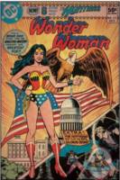 WONDER WOMAN Diana Prince Bronze Age version (DC Universe) Custom Action Figure