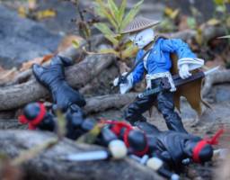 Usagi yojimbo (Teenage Mutant Ninja Turtles) Custom Action Figure