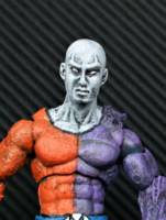 Metamorpho (Justice League) Custom Action Figure