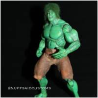 Lou ferrigno tv series Hulk (Wrestling) Custom Action Figure