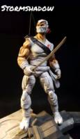 Stormshadow (G.I. Joe) Custom Action Figure