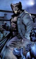 Dark Beast (Marvel Universe) Custom Action Figure