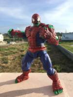 Spider-Hulk (Marvel Legends) Custom Action Figure
