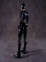 Catwoman (DC Universe) Custom Action Figure
