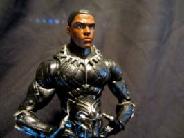 Black Panther (Re-paint) (Marvel Legends) Custom Action Figure