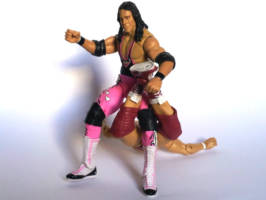 Bret Hart WCW (Wrestling) Custom Action Figure