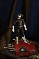 Grendel (Hunter Rose) (Dark Horse) Custom Action Figure