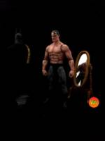 Bruce Wayne (Alex Ross "Scars) (Marvel Legends) Custom Action Figure