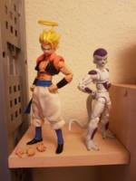 Gogeta and Freeza (Dragonball Z) Custom Action Figure
