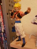 Gogeta and Freeza (Dragonball Z) Custom Action Figure