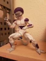 Gogeta and Freeza (Dragonball Z) Custom Action Figure