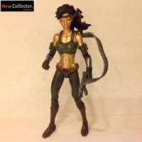 Pilgrim (Image) Custom Action Figure