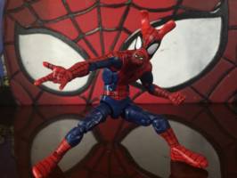 Spider monkey / spider ham (Marvel Legends) Custom Action Figure