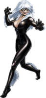 Black Cat (Marvel Universe) Custom Action Figure