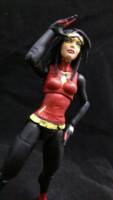 Spider-Woman (Marvel Now) (Marvel Legends) Custom Action Figure