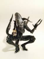 The Reaper. Demon of Darkness. (Aliens) Custom Action Figure [The Reaper]