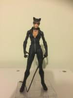 Arkham Catwoman (Batman - Arkham Knight) Custom Action Figure