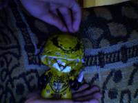 Munny PredAlien (Alien Vs. Predator Requiem) Custom Action Figure