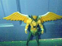 Hawkman (DC Universe) Custom Action Figure