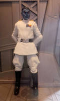 Grand Admiral Thrawn (Star Wars) Custom Action Figure