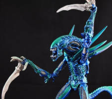 Alien Ravager (Alien vs Predator) Custom Action Figure.