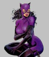 Catwoman (DC Infinite Heroes) Custom Action Figure