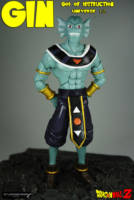 Gene God of Destruction Universe  12 (Dragonball Z) Custom Action Figure