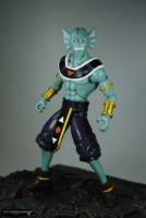 Gene God of Destruction Universe  12 (Dragonball Z) Custom Action Figure