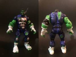 Hulk-punisher (Marvel) Custom Action Figure