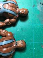 Fhanzill -Tribe of Many Arrows_ Todd Lockwood style (Forgotten Realms of Fantasy) Custom Action Figure