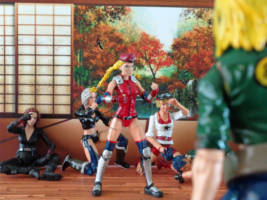 Cammy (Street Fighter) Custom Action Figure [Push star button]