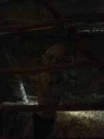 Fellowship of the ring Gollum (Lord of the Rings) Custom Action Figure [He's been following us for three days]