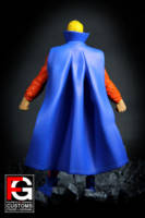 DCUC The Trickster (DC Universe) Custom Action Figure