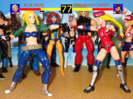 Blue Mary (Fatal Fury) Custom Action Figure [YOU WIN !!!]