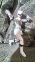 S.H.Figuarts Zyuoh Tiger (Power Rangers) Custom Action Figure
